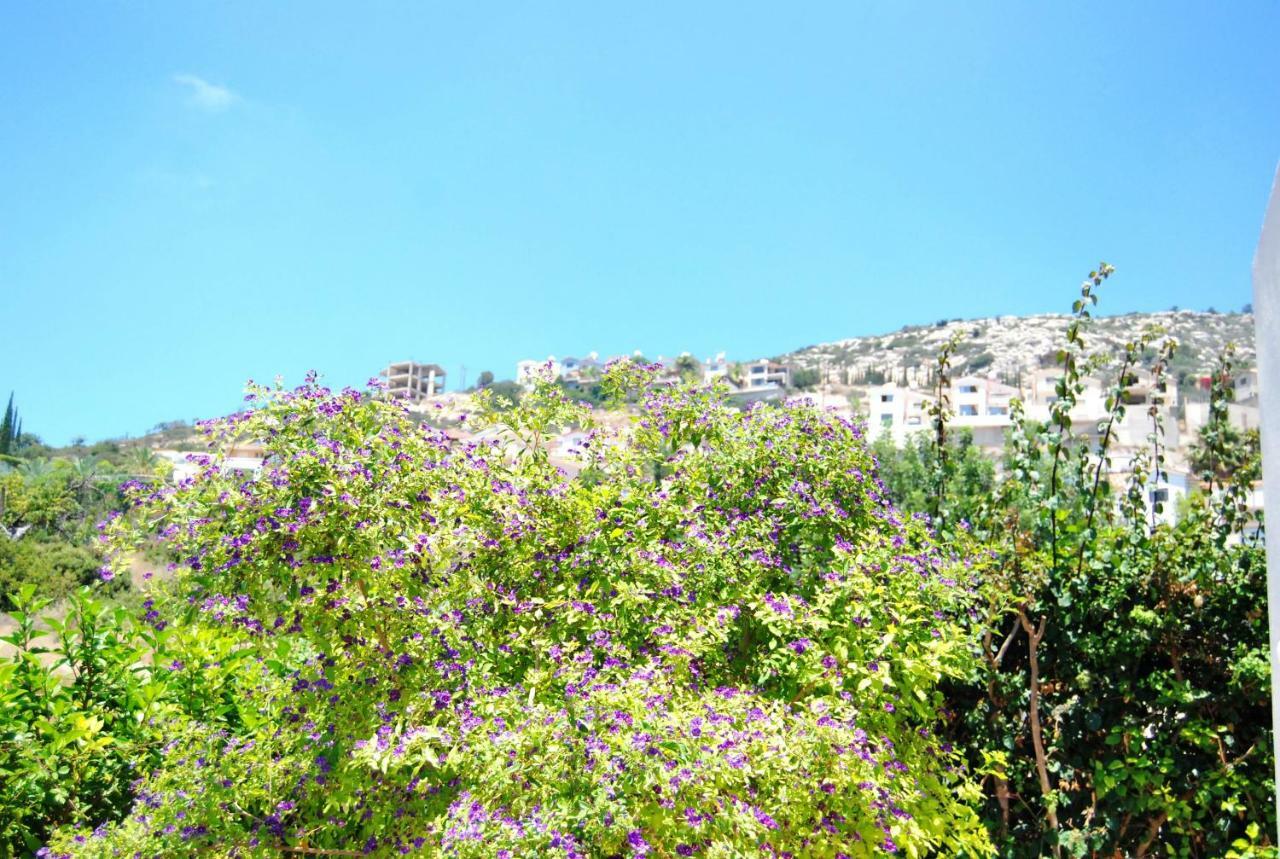 Pegia Villa Peyia Luaran gambar